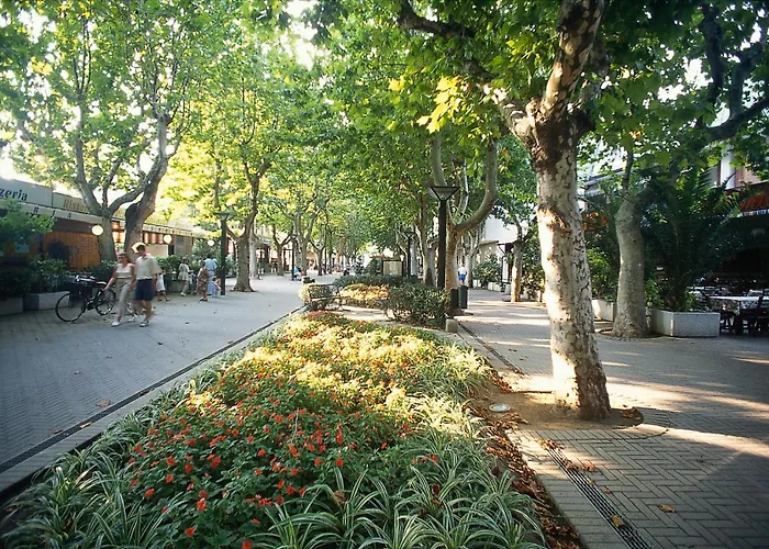 Villa Zavatta B&B - Rooms&Apartments Bellaria-Igea Marina